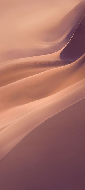Wallpaper
